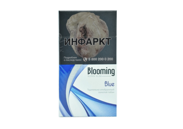 Blooming Blue SS — изображение 1