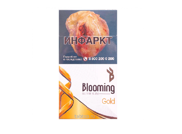 Blooming Gold SS — изображение 1