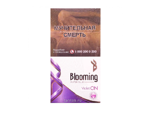 Blooming VIOLET ON SS — изображение 1