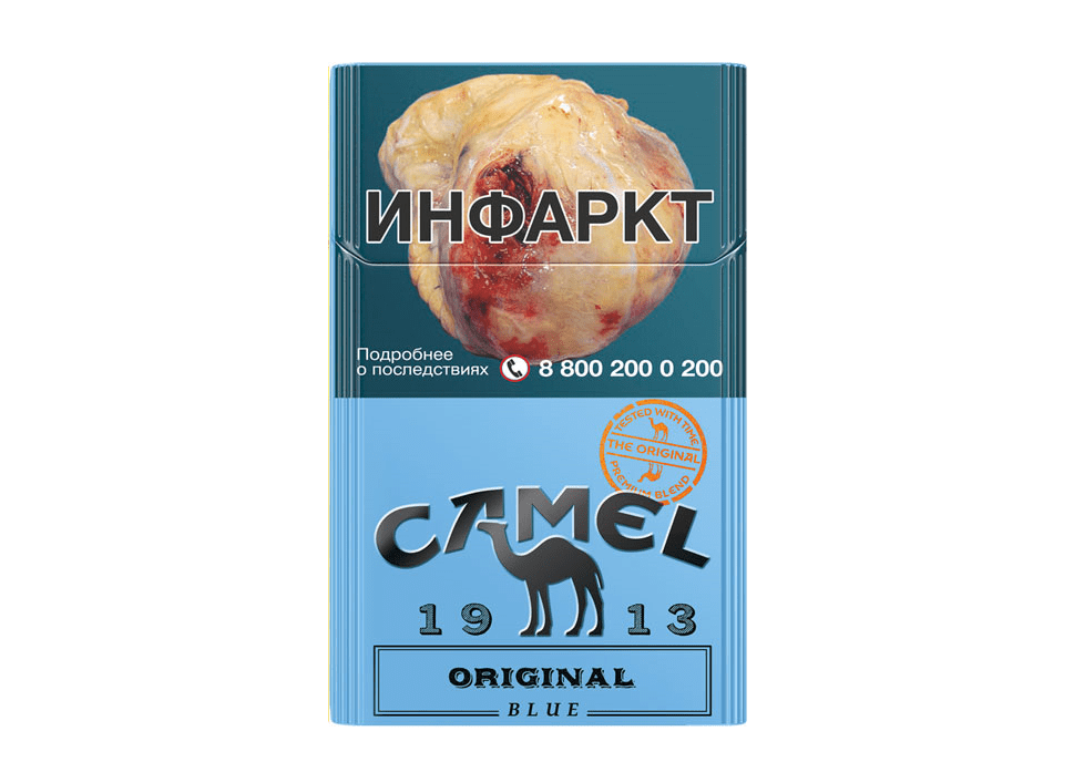 Главная