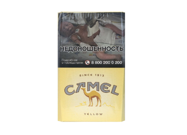 Camel Yellow — изображение 1