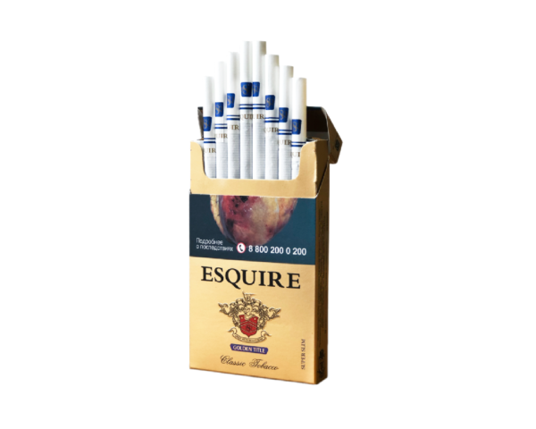 Esquire SS Golden — изображение 1