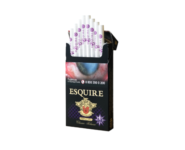 Esquire SS Purple — изображение 1