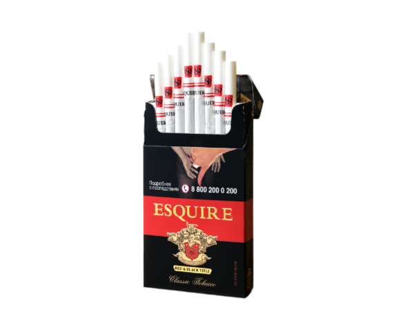 Esquire SS Red&Black — изображение 1