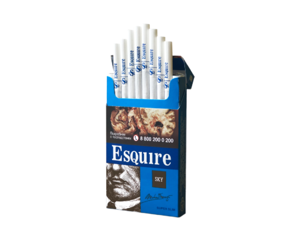Esquire SS Sky — изображение 1