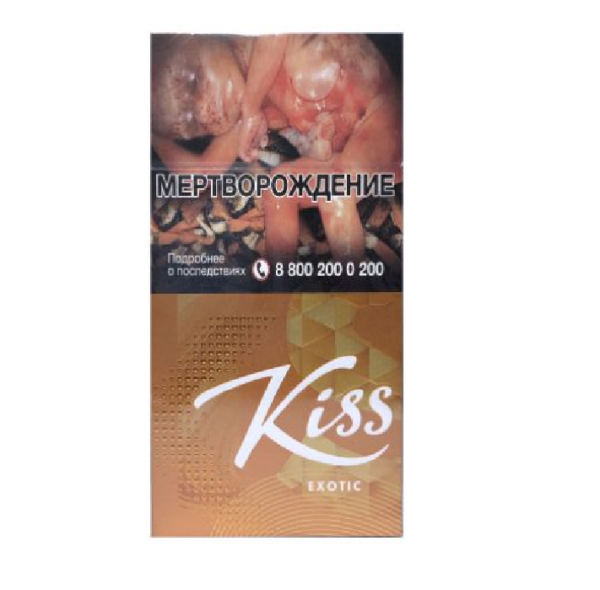 Kiss Exotic — изображение 1