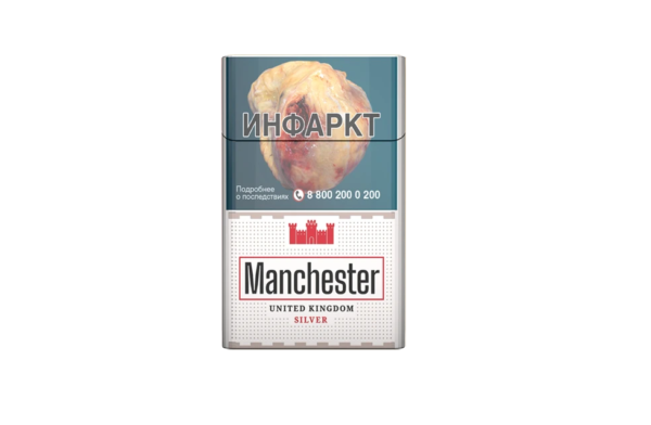 Manchester UK Classic Silver — изображение 1