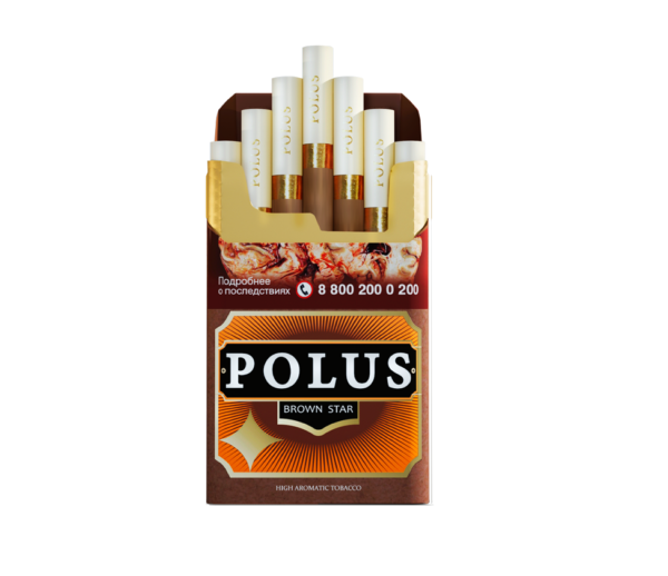 Polus Brown Star — изображение 1
