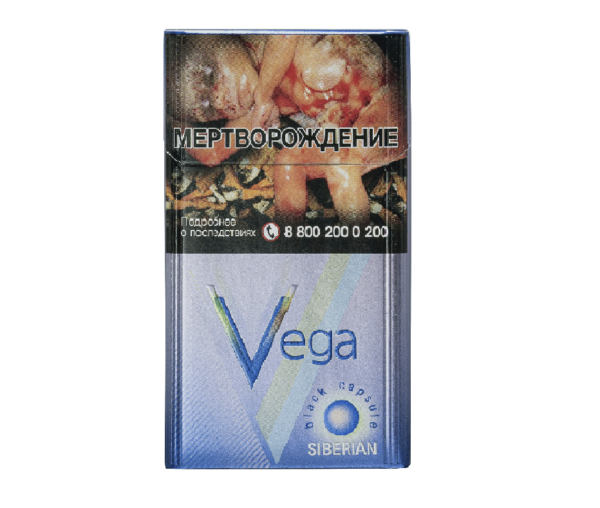 Vega Siberian — изображение 1