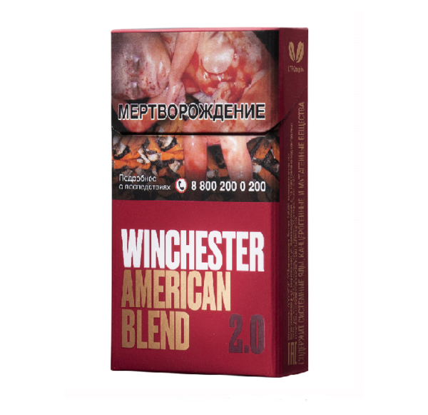 Winchester 2.0 — изображение 1
