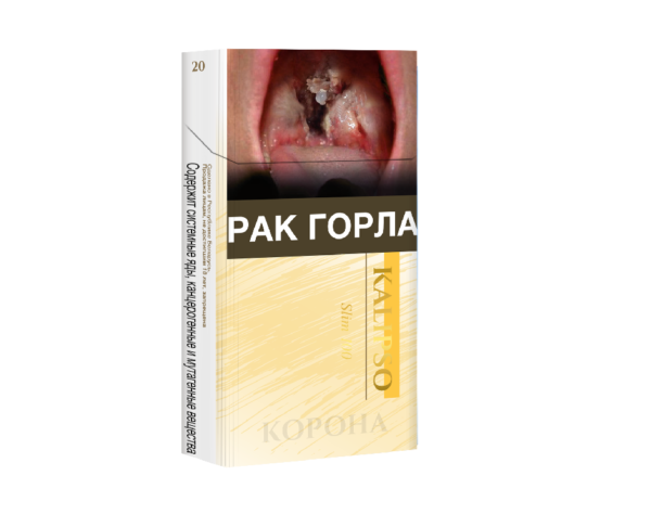 Kalipso Slim 100 — изображение 1