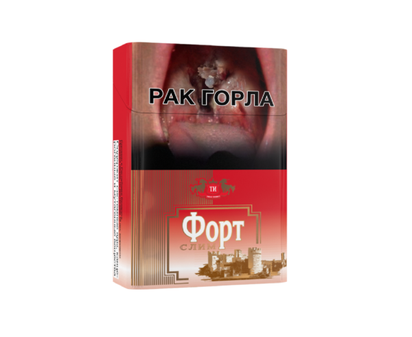 Форт Слим — изображение 1