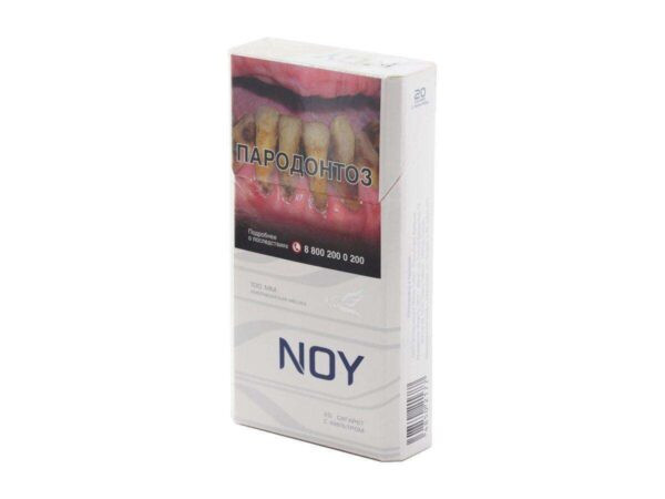NOY 100mm Silver — изображение 1